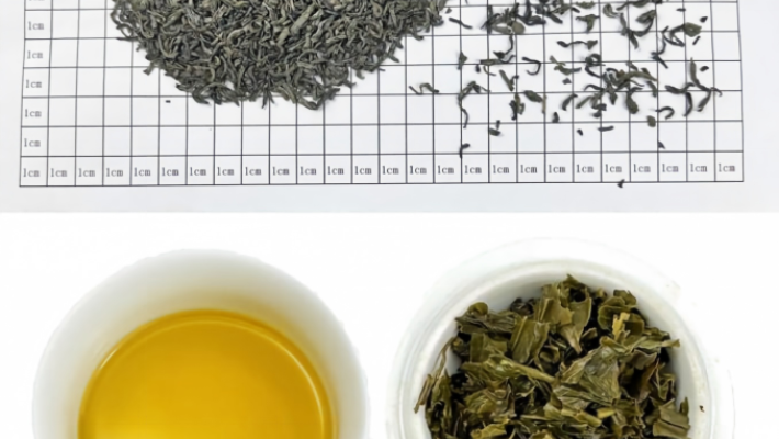 Organic Tea and the Future of Development