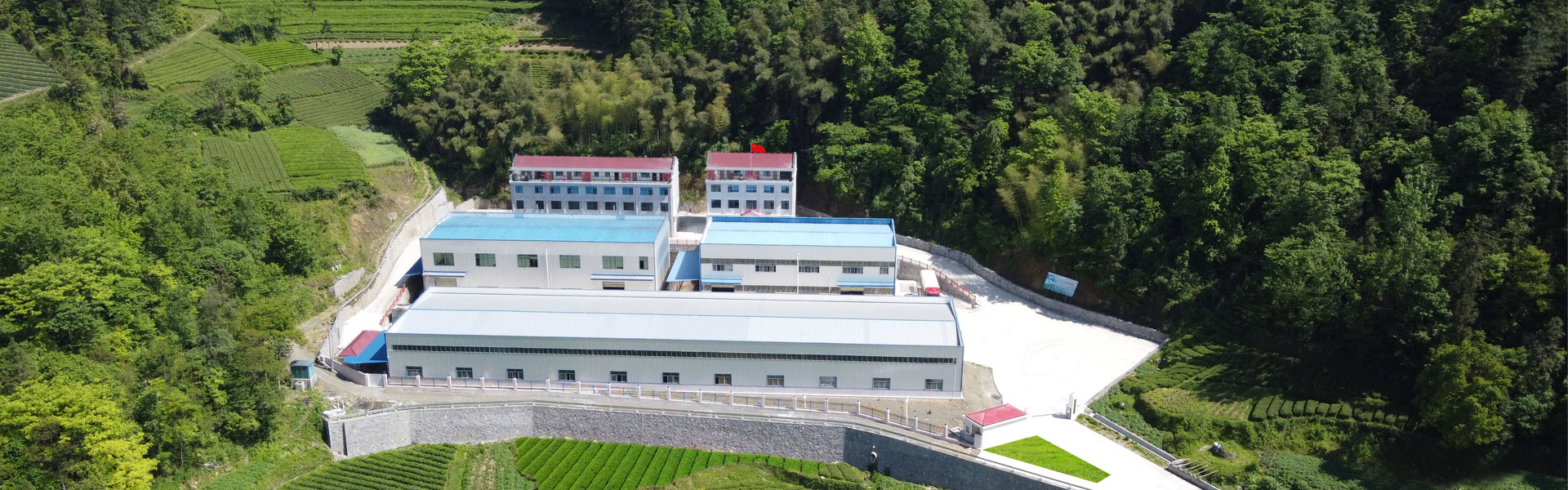 Eoemtea tea garden and factory